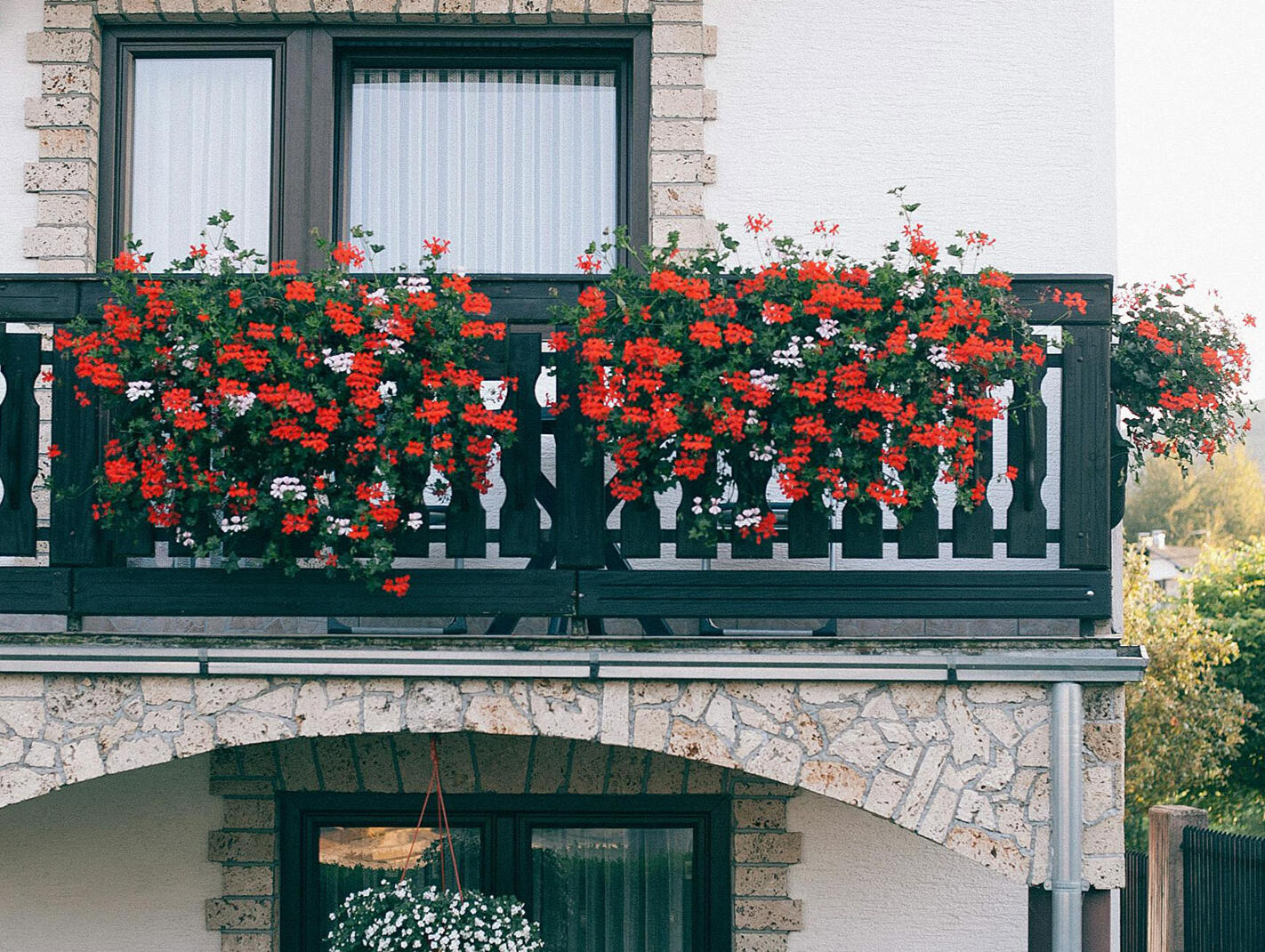 Balcony flowers